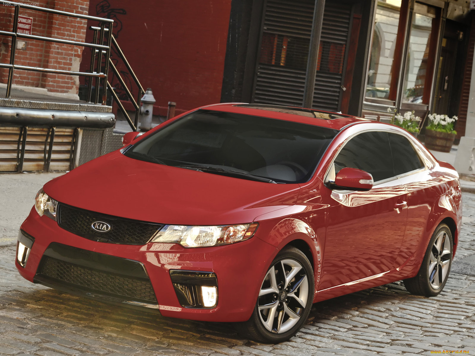 forte, koup, 2010, , kia